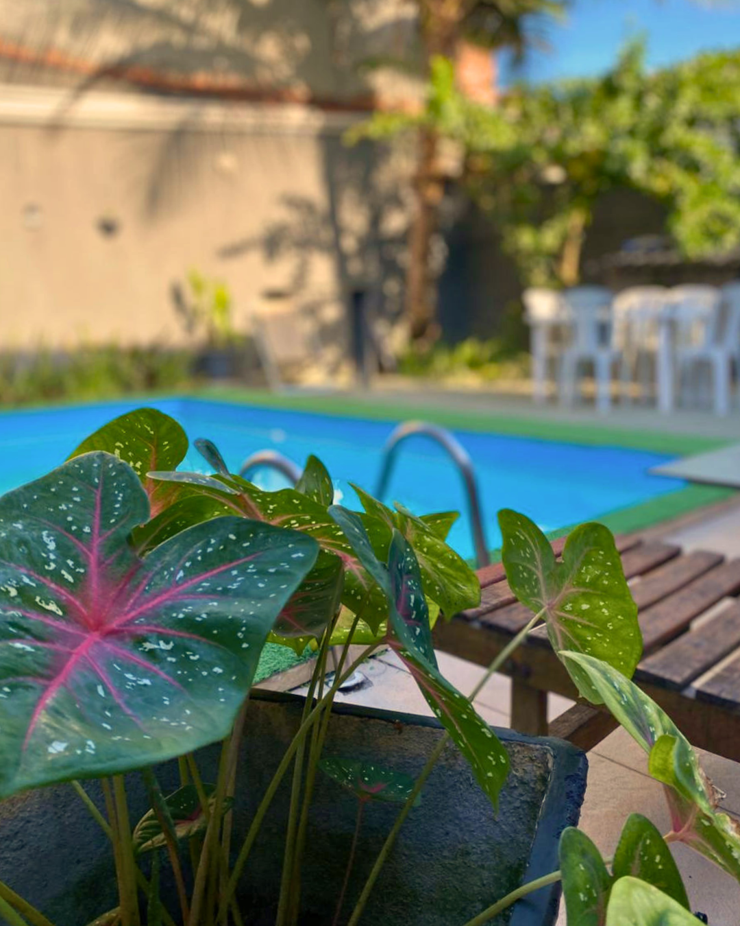Piscina e Jardim - AWA HOUSE BÚZIOS (3)